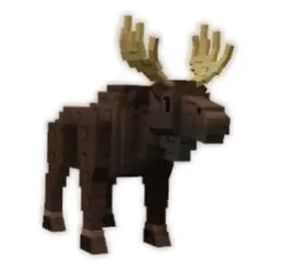 Moose NEW PET !