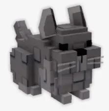 Chinchilla Quick Delivery Best Offer — Account account