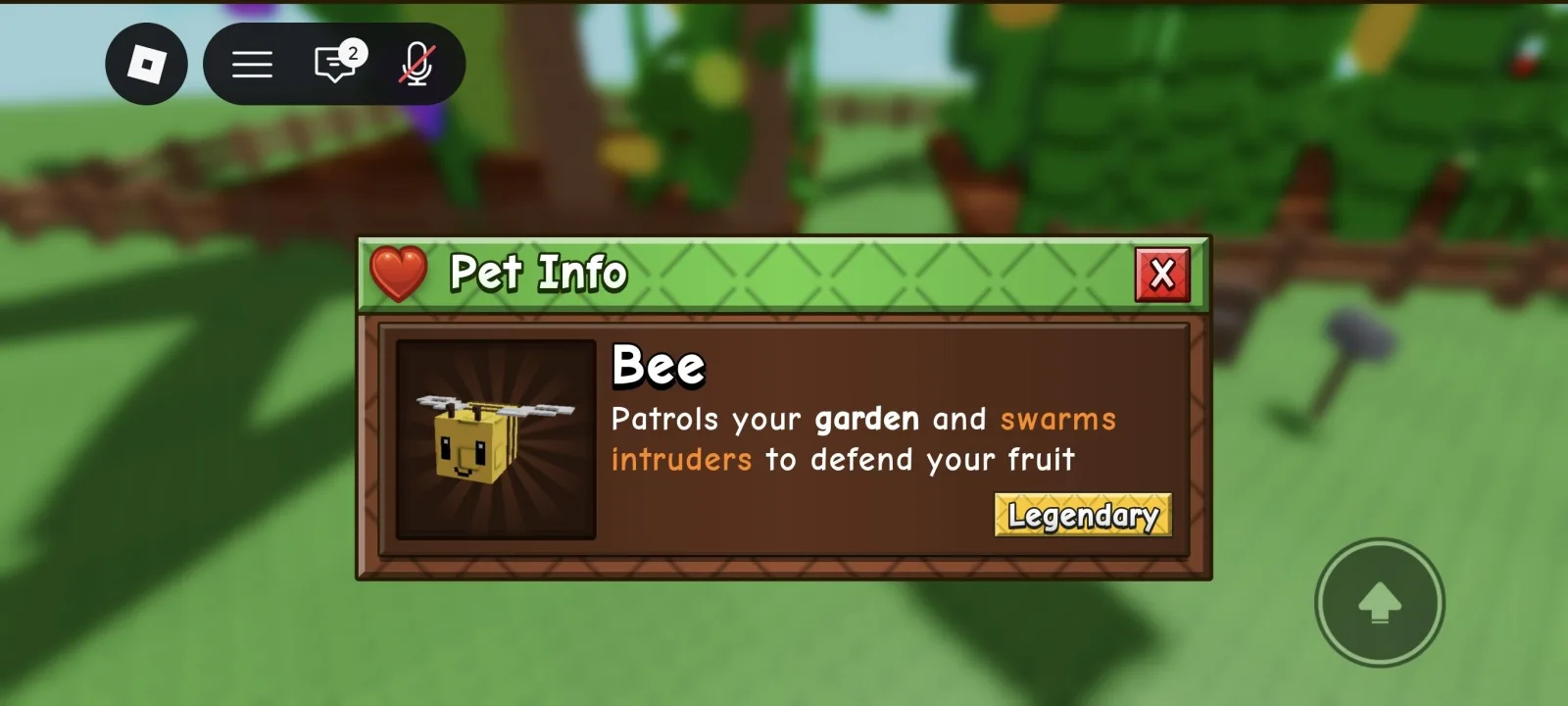 Bee pet — Account account