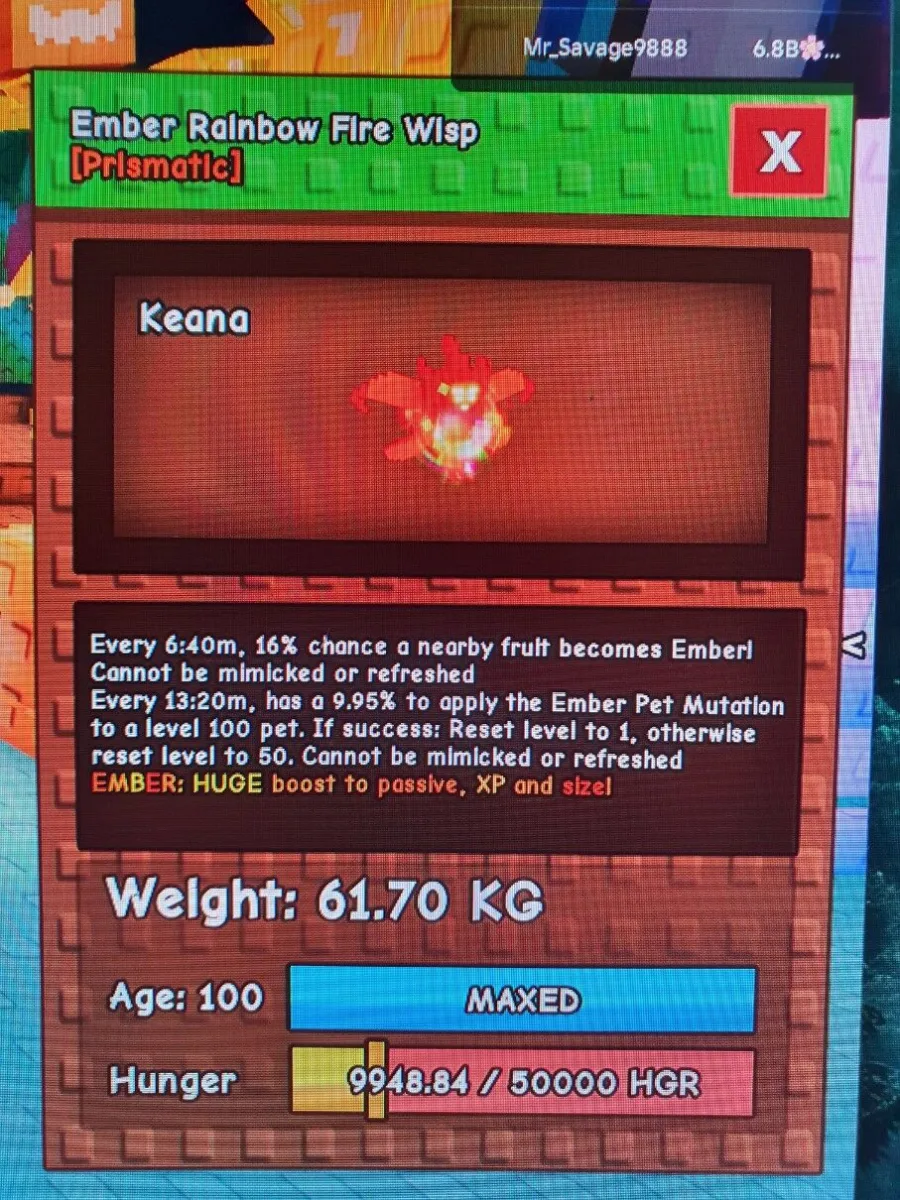 Huge Rainbow Hatched Fire Wisp 62 Kg+ BESTBMUTATION PET 32 PERCENT CHEAPEST AND INSTANT DELIVERY — Account account