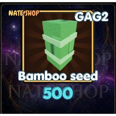 Bamboo Seed — Account account