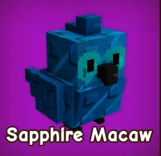 Sapphire Macaw Fast Delivery