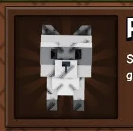 Raccoon — Account account