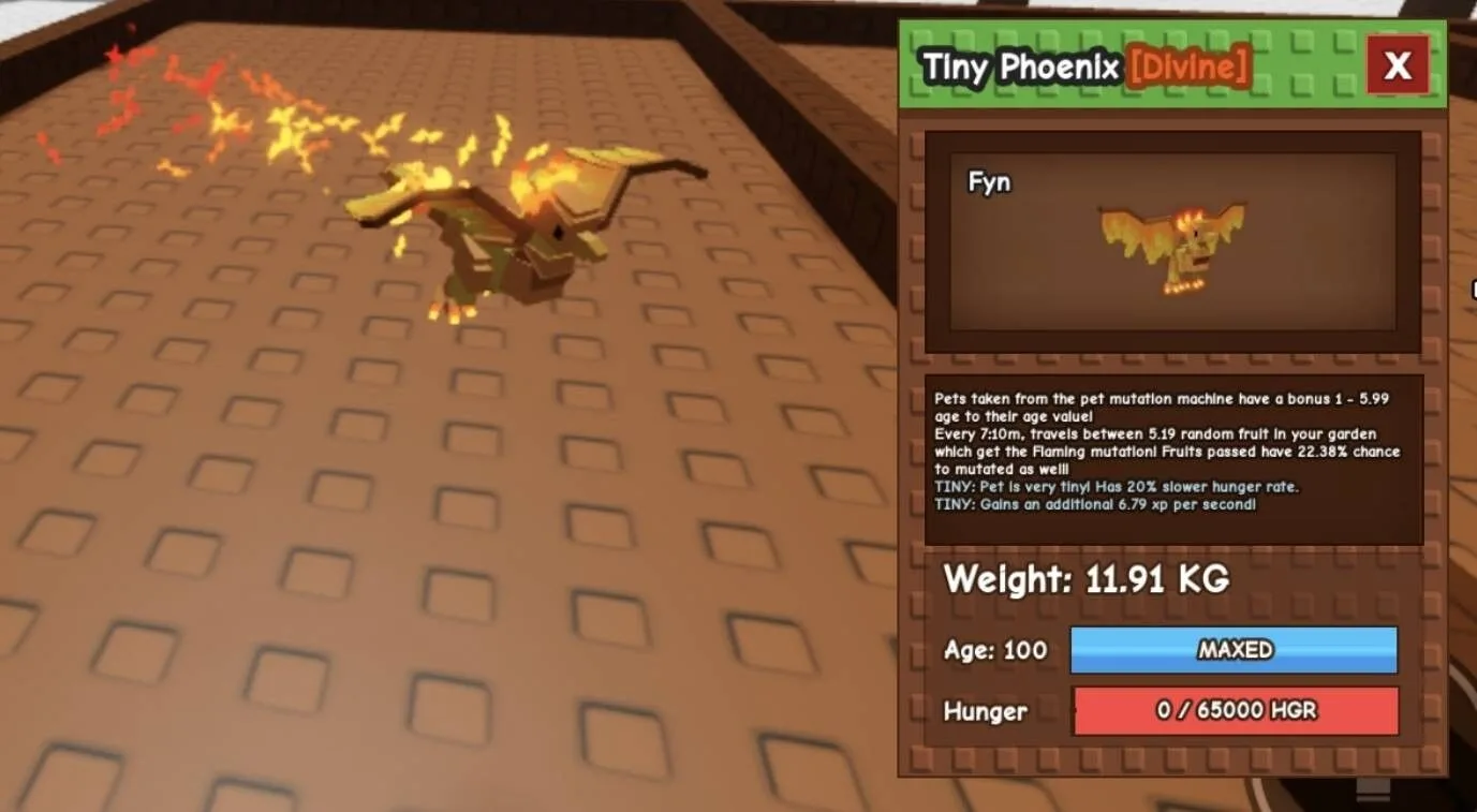 TINY Phoenix - 11.91 KG (Age 100)