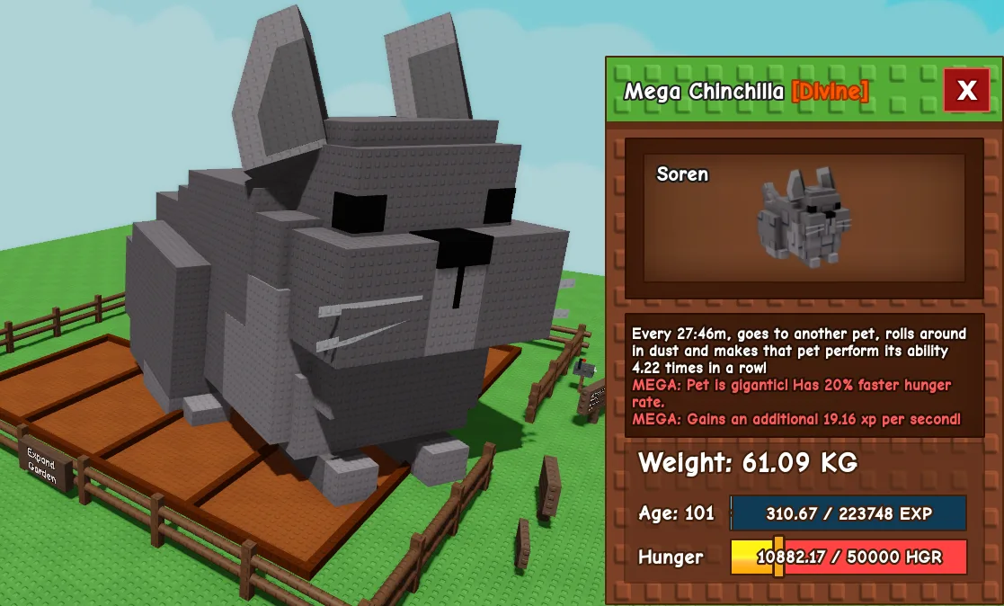 60.54kg+ Age 100 Mega Chinchilla