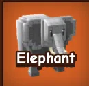 Elephant 3X — Account account