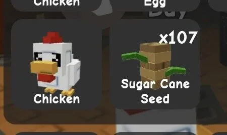 Sugarcane Seed / Sugar Cane Seed