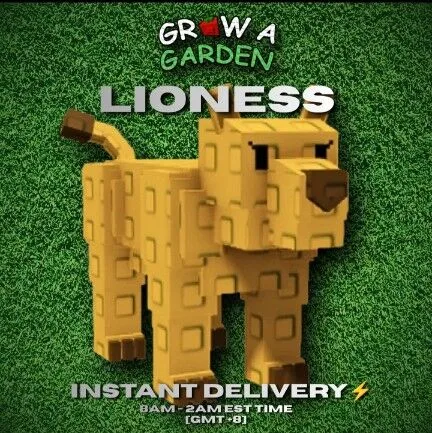 LIONESS — Account account