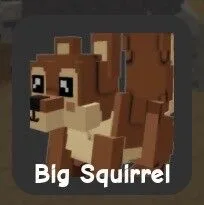 Squirrel