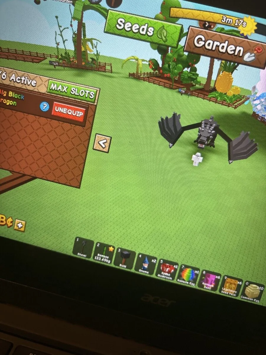 Selling big black dragon