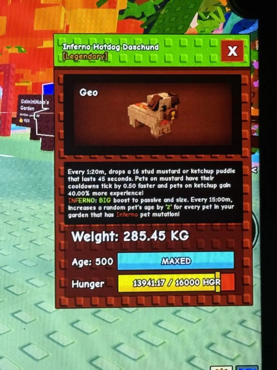 COOL DOWN REDUCTION CHAMPION 285.45kg INFERNO MUTATED HOTDOG DASCHUND READY TO LEVEL
