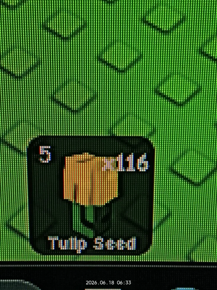 Tulip Seed (Uncommon) — Account account