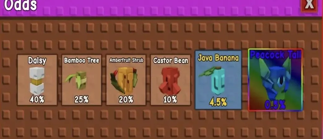 10x Exotic Safari Seed Packs
