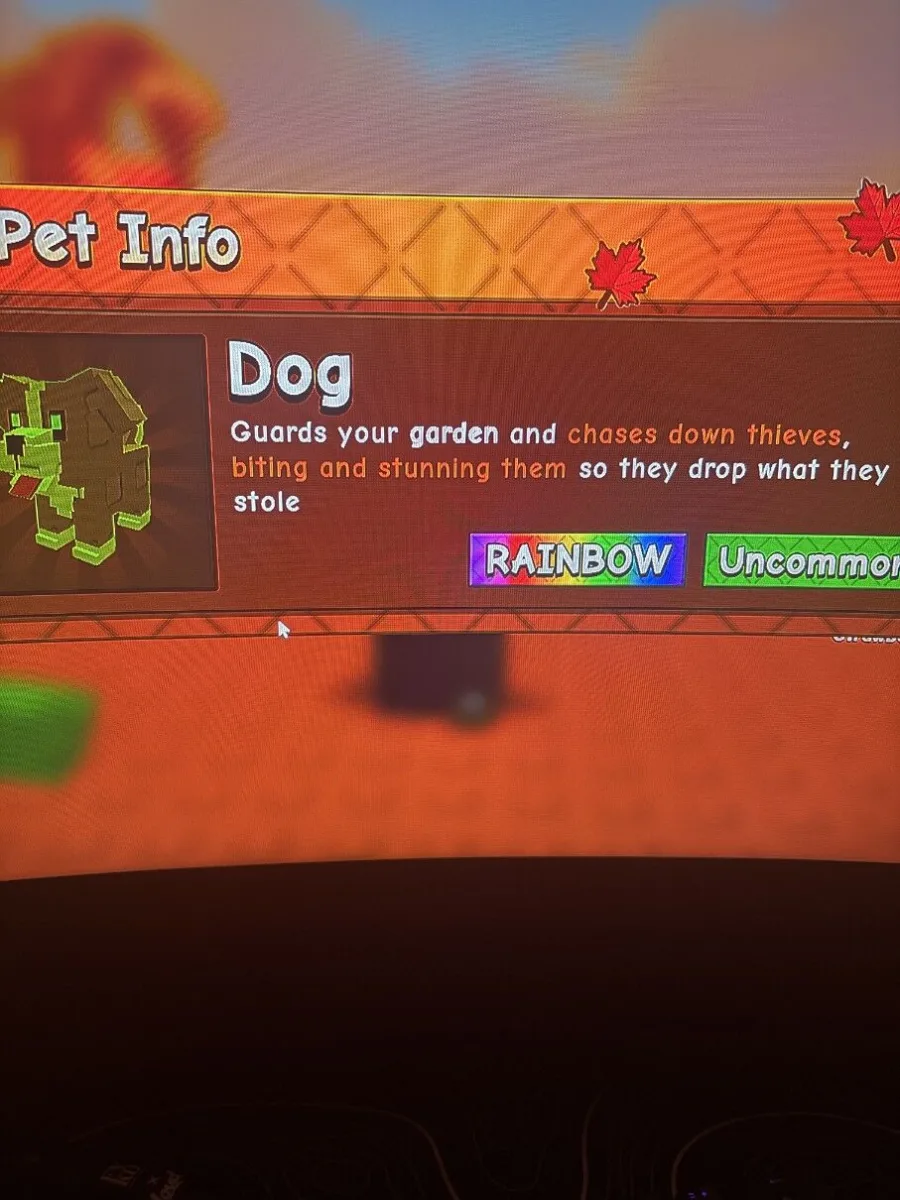 Rainbow dog in NEWEST MAPPLE MAP (Uncommon)
