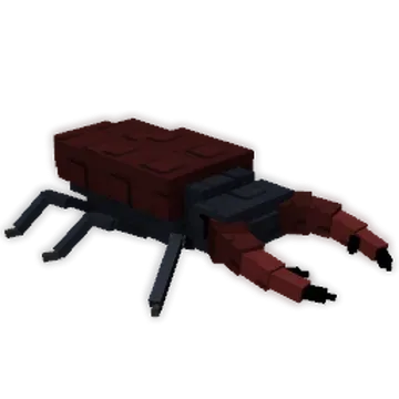 Stag Beetle — Account account