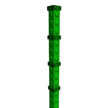 Bamboo Seed