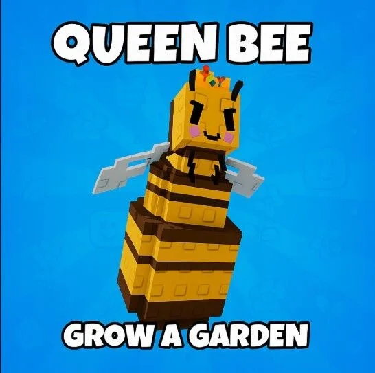Queen Bee — Account account