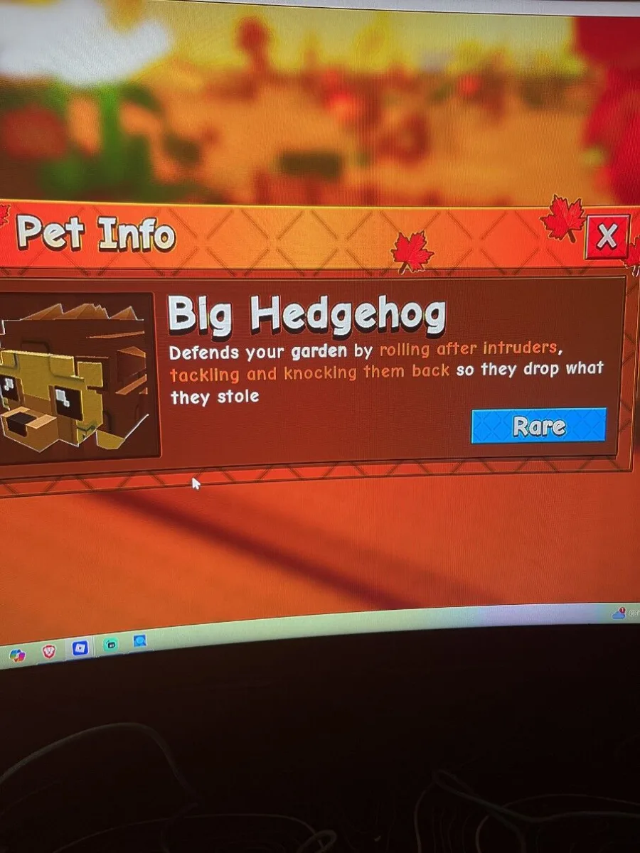 Big Hedgehog (Rare)