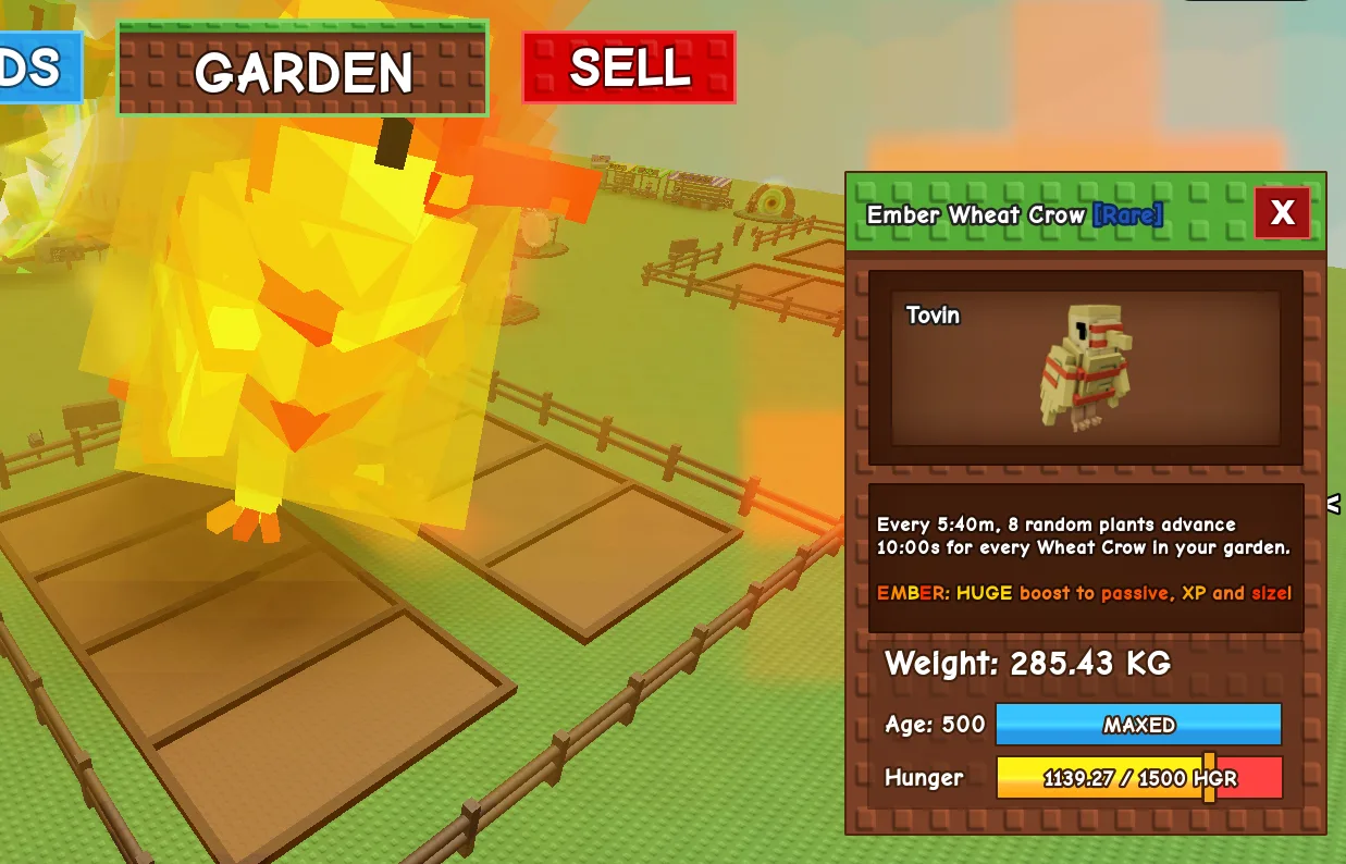 280+KG Ember Wheat Crow Rare // super handsome // Age 500 Maxed // Farm Boost//not peacock//i run out of tag others limitaiton
