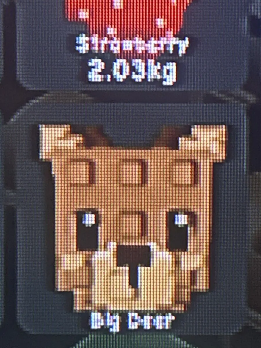 Deer (Rare)