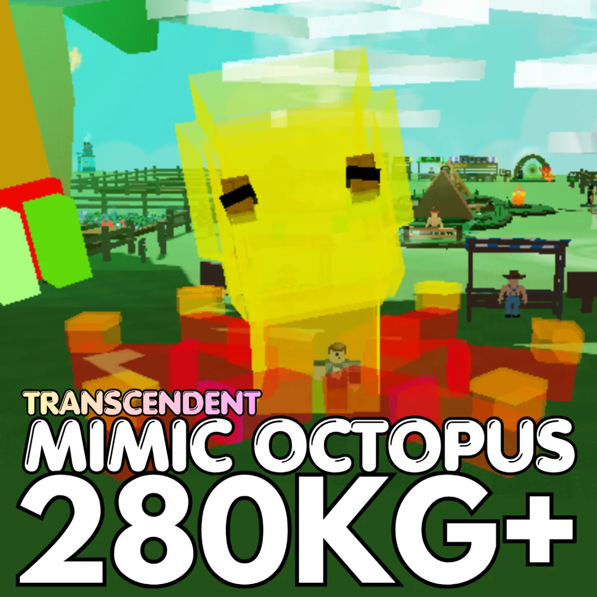 TRANSCENDENT Huge Mimic Octopus 280KG+ 15sec CD Age 500 INSTANT DELIVERY