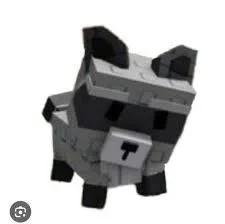 Raccoon (Super) — Account account