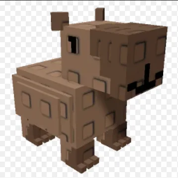 Capybara 2kg+ — Account account