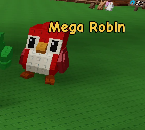 Robin (Legendary) — Account account
