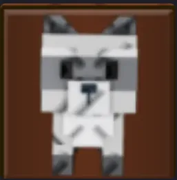 Raccoon (Super)