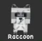 Raccoon — Account account