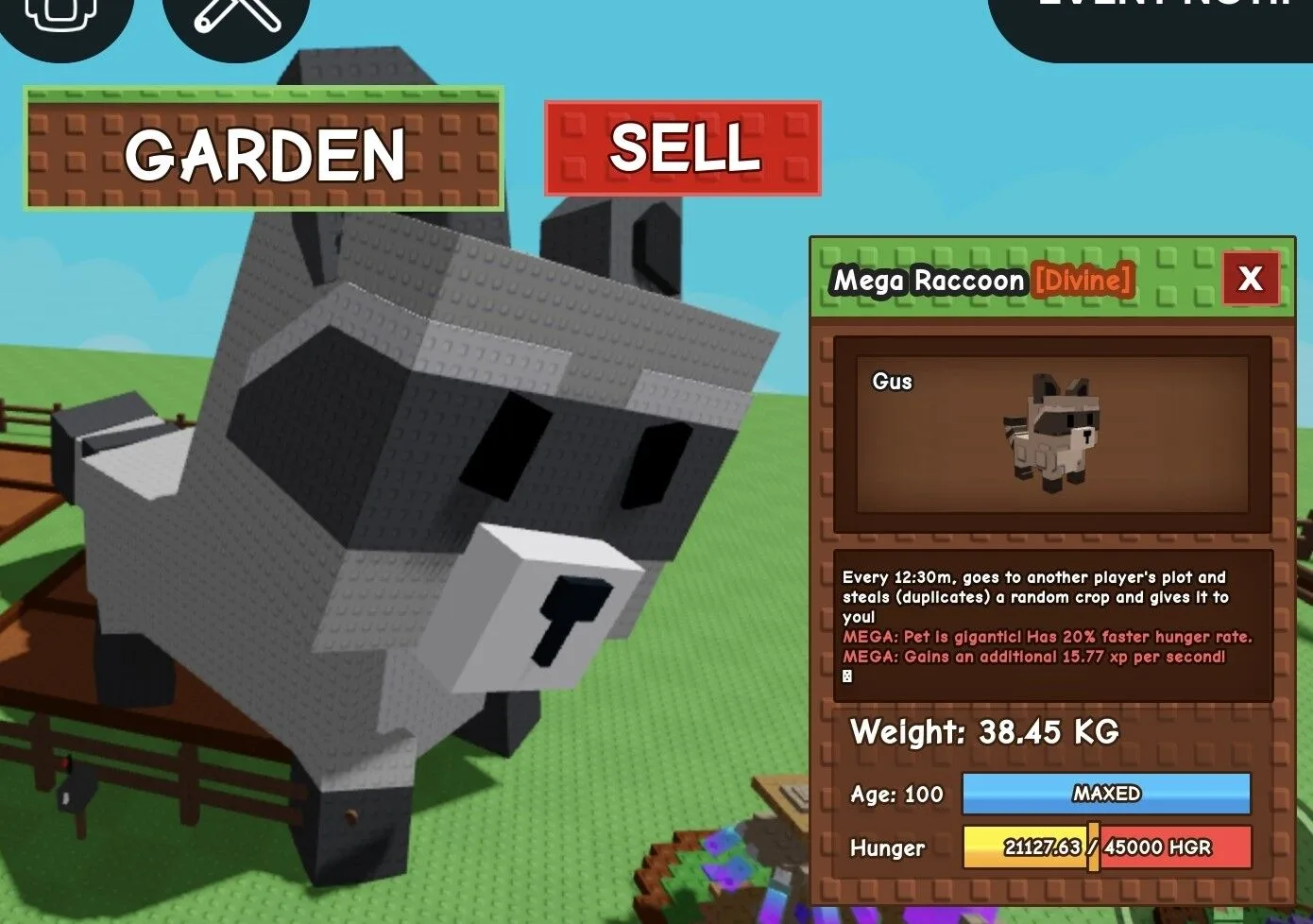 Huge MEGA Raccoon - 38.45 KG (Age 100) — Account account