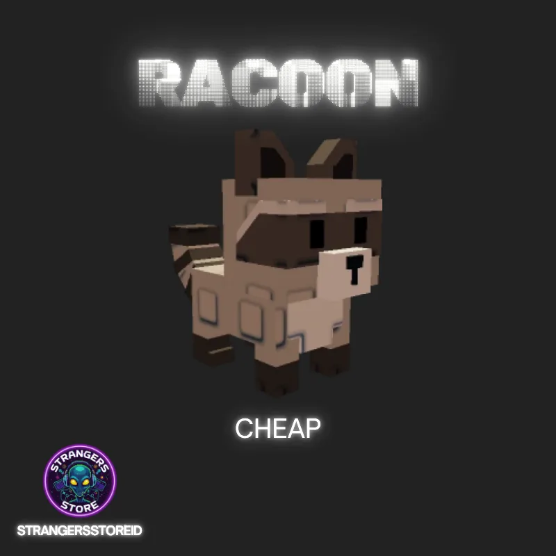 Racoon