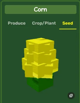 Corn Seed