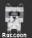Raccoon (Super) — Account account
