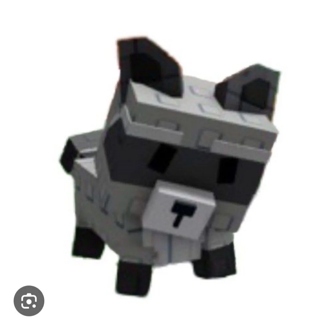 Raccoon (Rare)
