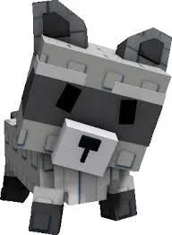 Raccoon — Account account