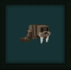 Walrus