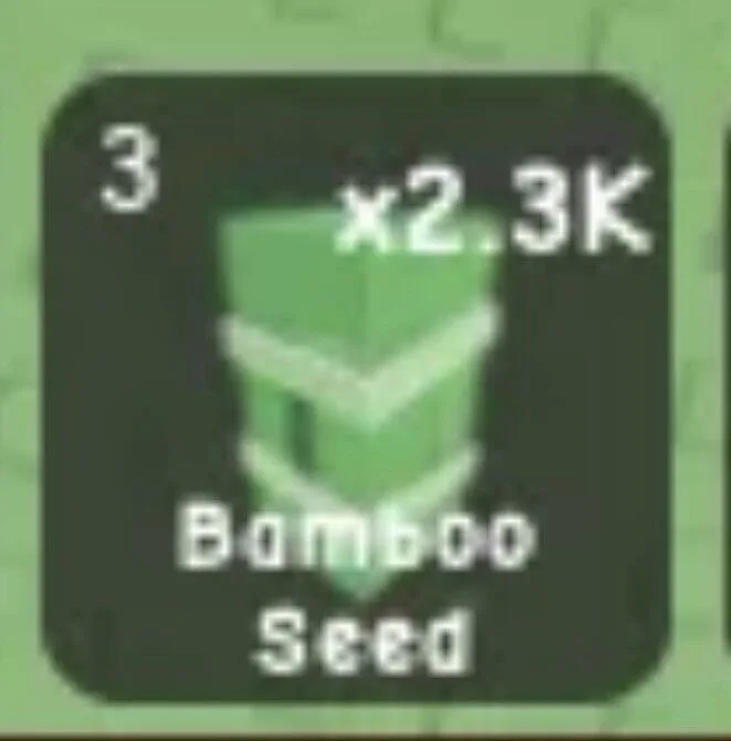 10X BAMBOO SEED FAST DELIVERY — Account account