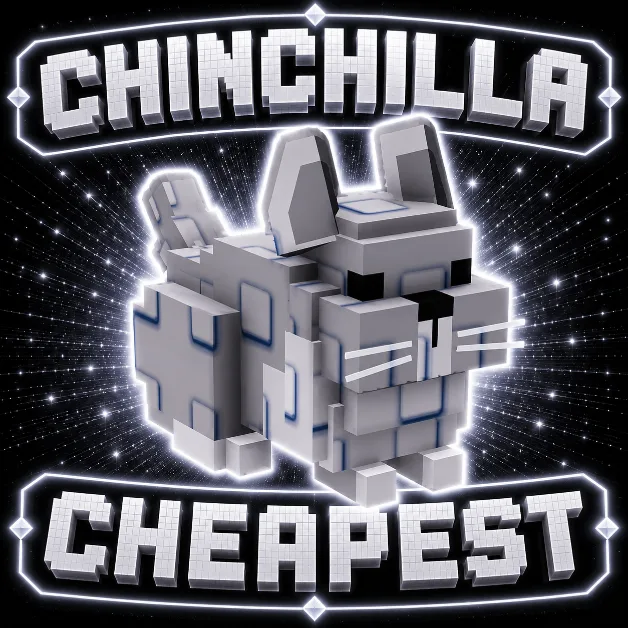 Chinchilla — Account account
