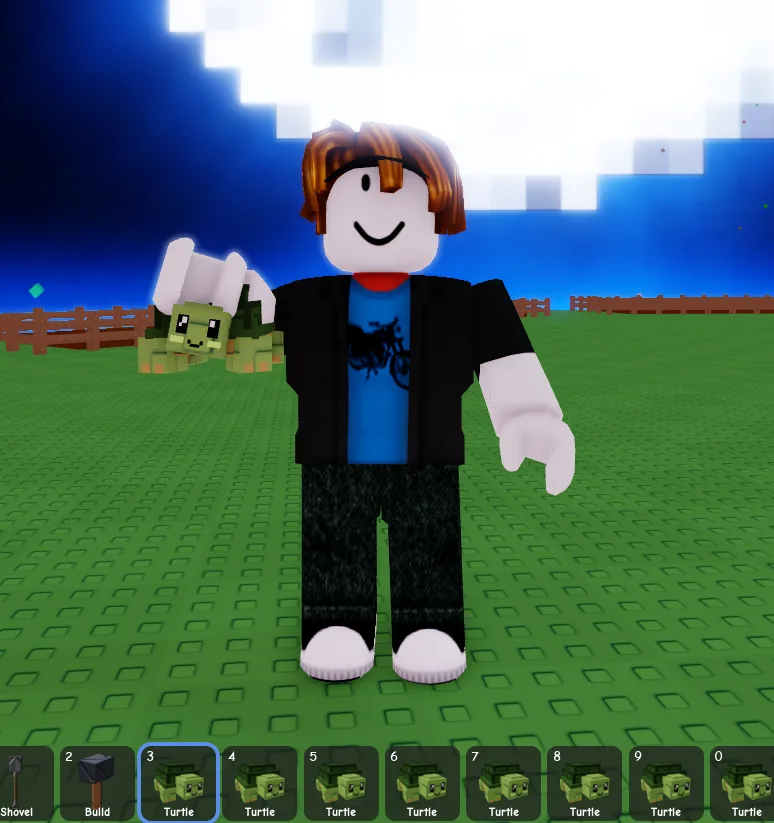 Turtle (Rare)