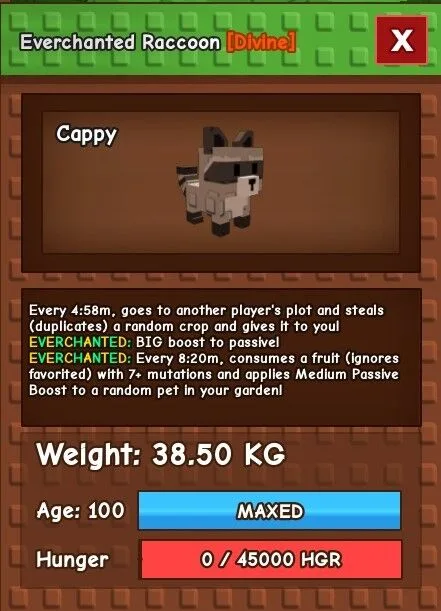 Huge Everchanted Racoon 38kg — Account account