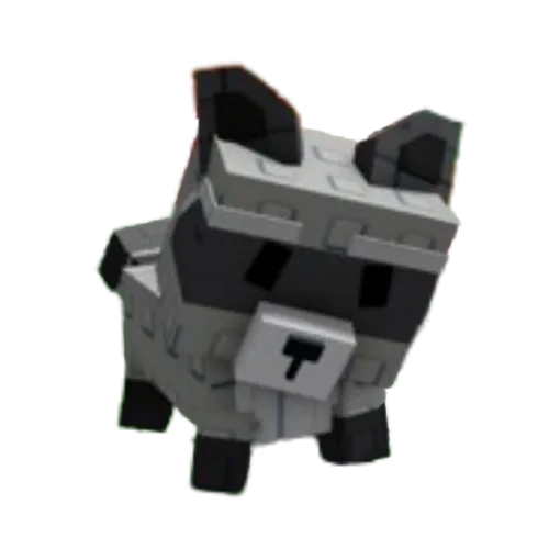 Raccoon — Account account