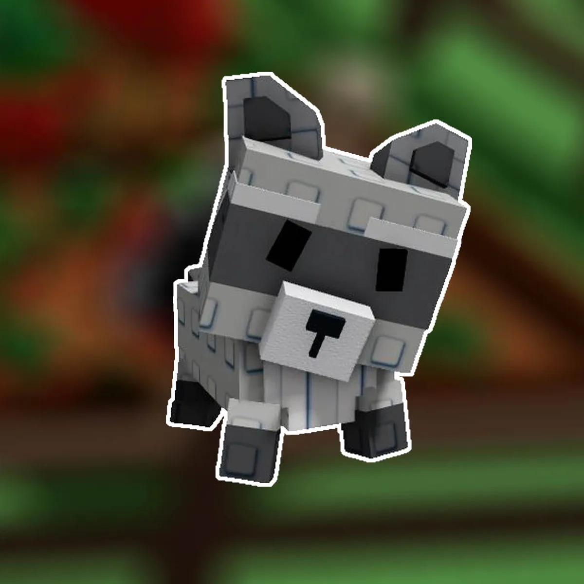 Raccoon (Super)