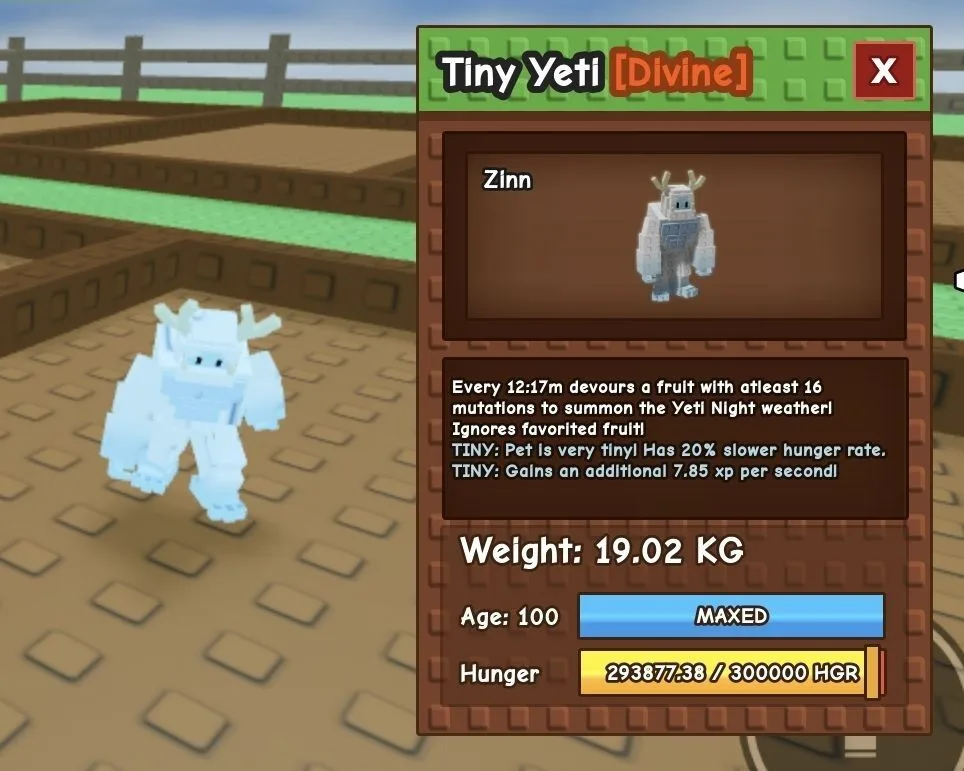TINY Yeti - 19.02 KG (Age 100)