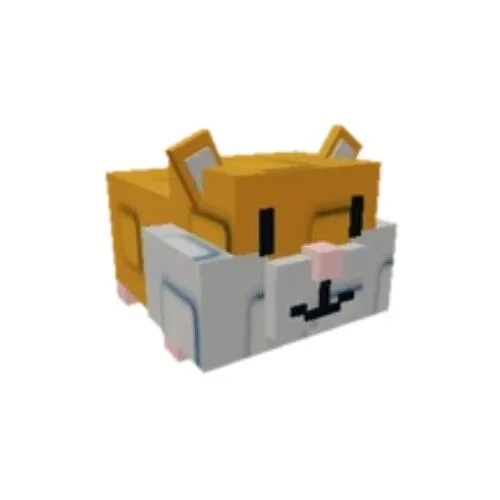 hamster random age and kg — Account account
