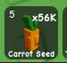 Carrot Seed (Common)