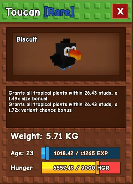 Toucan RARE Age 23 5.71KG