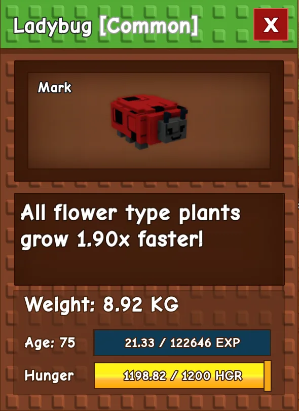 Ladybug Age 75