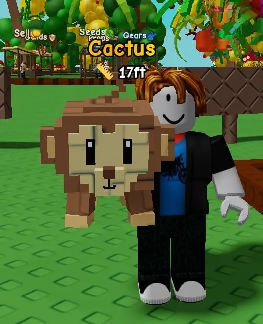 Monkey — Account account