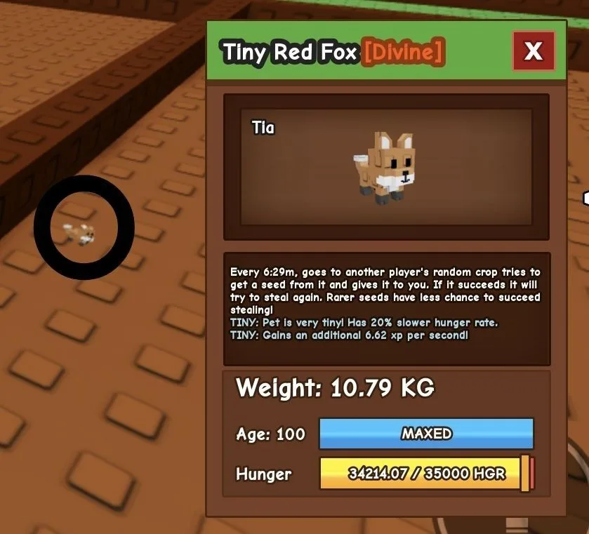 TINY Red Fox - 10.79 KG (Age 100)